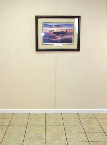 Everlast Wall Panels