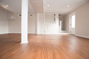 TBF finished basement in Buffalo