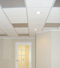 Basement Ceiling Tiles for a project we worked on in Grand Island, New York