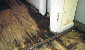 Basement Wood Floor Mold